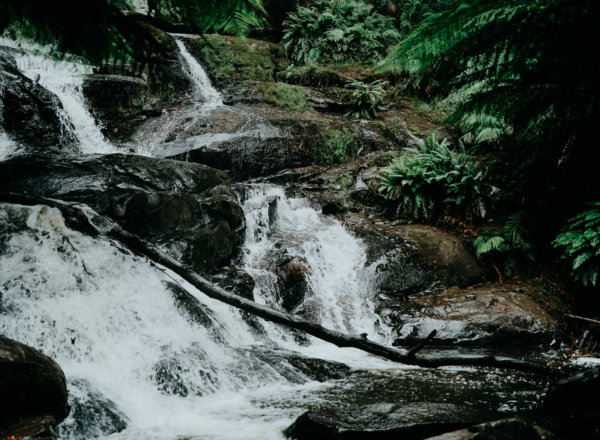 Triplet Falls